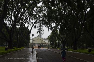 Lalbagh Botanical Garden,_DSC4487_b_H600